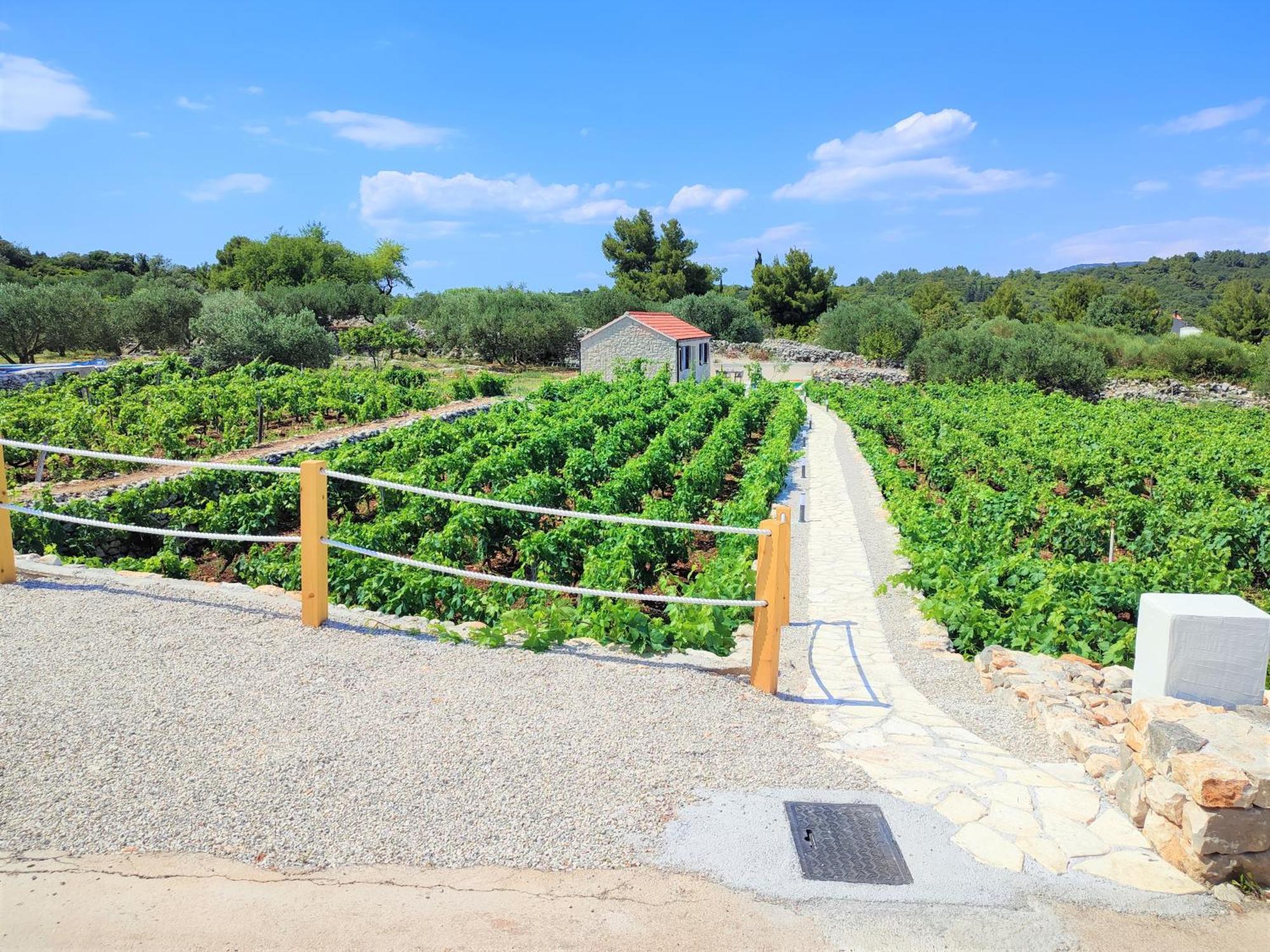 Stone House In Vineyard Villa Racisce Exterior photo